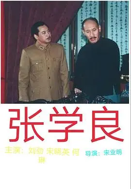 《张学良》：还原历史真相，一代名将的传奇人生！