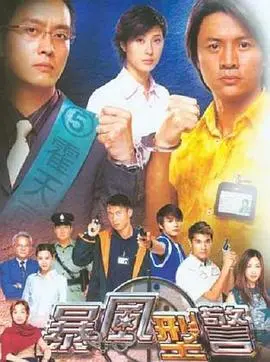 《暴风刑警》：硬汉警探的生死追击，燃爆肾上腺素的犯罪动作片！