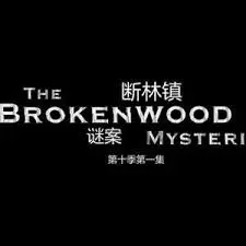 《断林镇谜案 第十季》：迷雾重重，真相呼之欲出！悬疑爱好者不容错过的年度烧脑盛宴