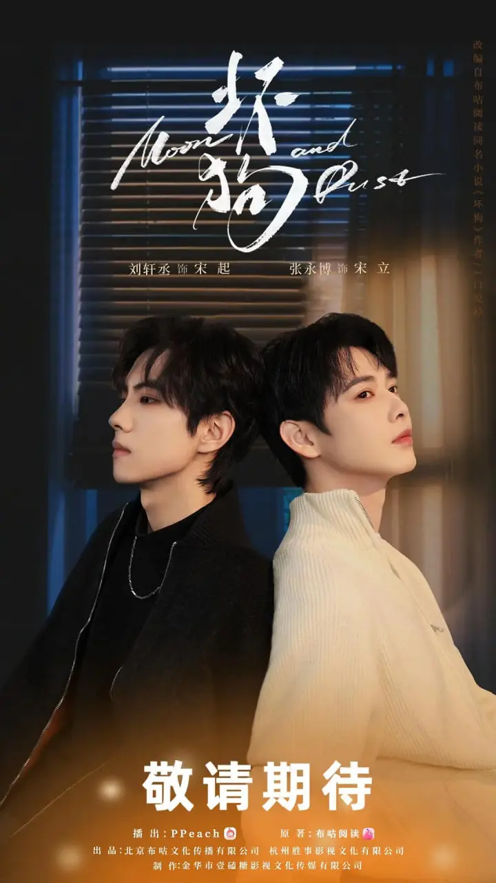 《坏狗》：一部让你哭到停不下来、笑到腹肌练成的温情治愈系佳作！